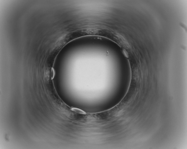 X0000095890697200801111156