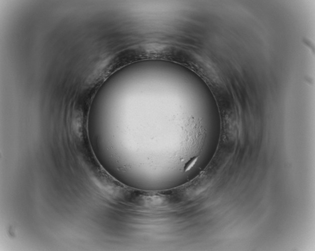 X0000095890698200801111156