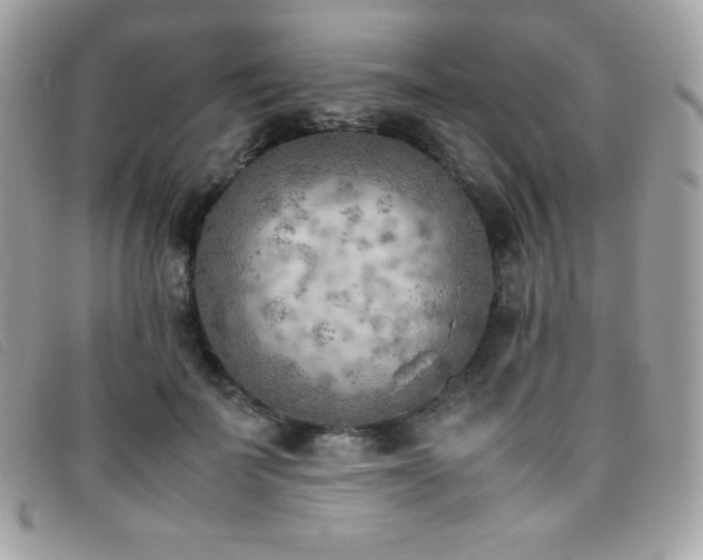 X0000095890699200801111156