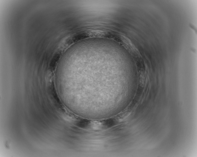 X0000095890701200801111156