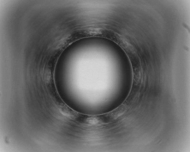 X0000095890704200801111156