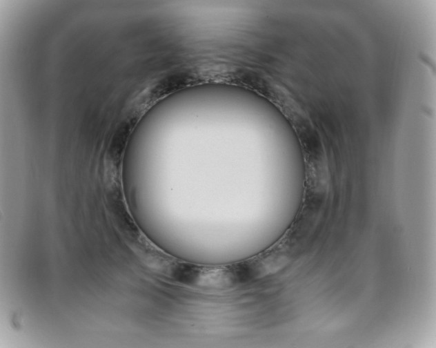 X0000095890705200801111156