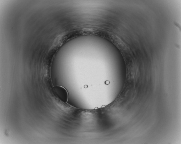 X0000095890706200801111156