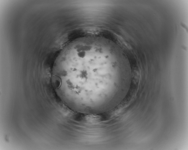 X0000095890707200801111156
