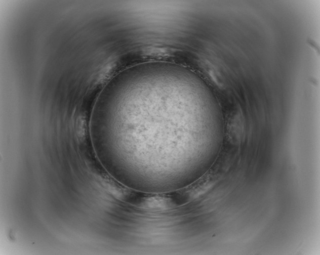 X0000095890708200801111156