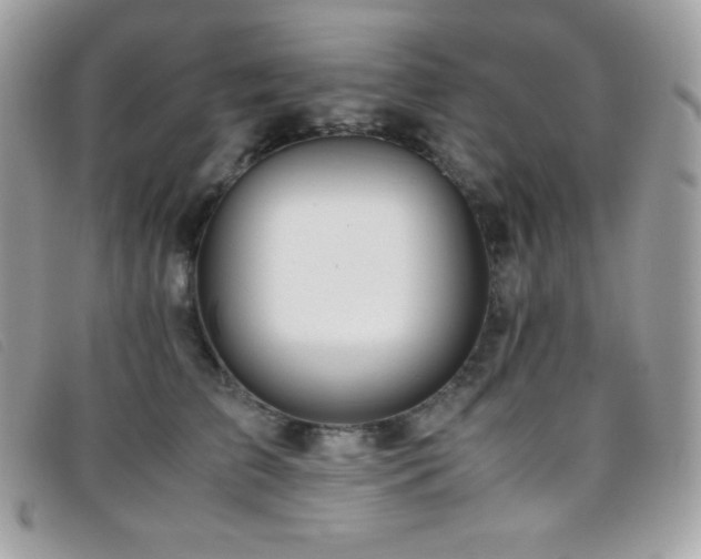 X0000095890709200801111156