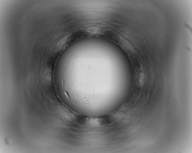 X0000095890710200801111156