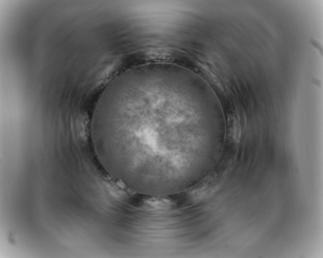 X0000095890712200801111156