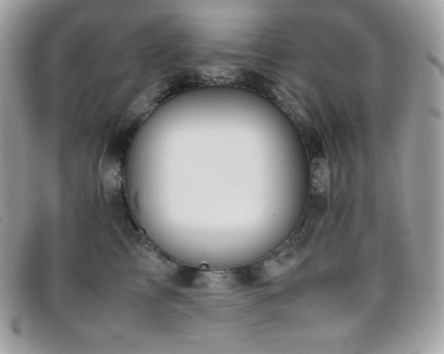 X0000095890713200801111156