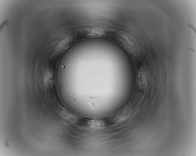 X0000095890714200801111156