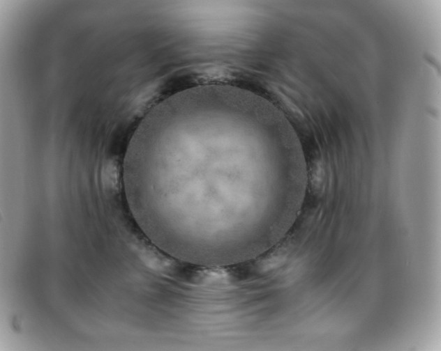 X0000095890715200801111156
