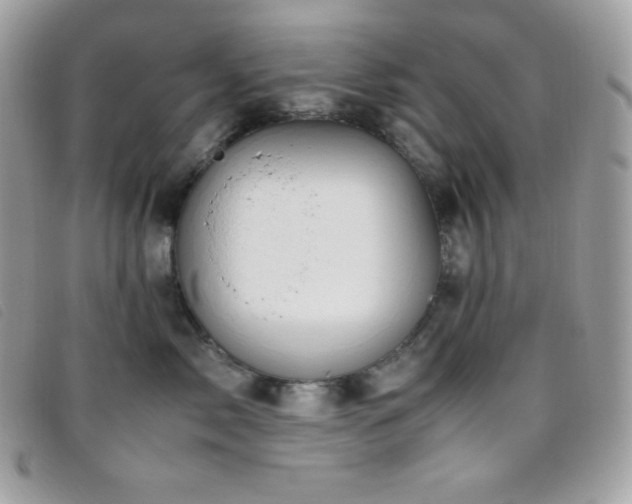 X0000095890717200801111156