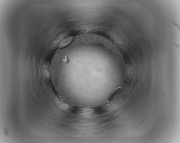 X0000095890719200801111156