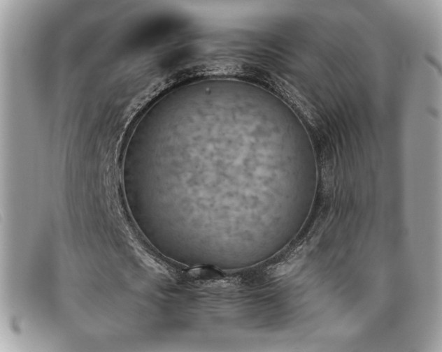 X0000095890721200801111155