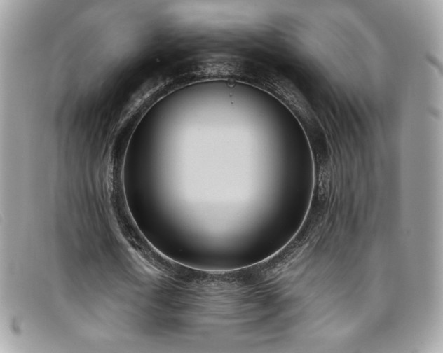 X0000095890722200801111155