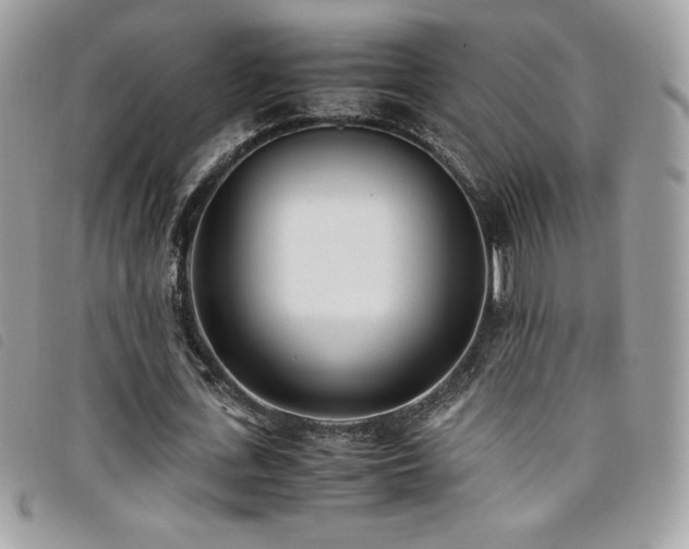 X0000095890723200801111155