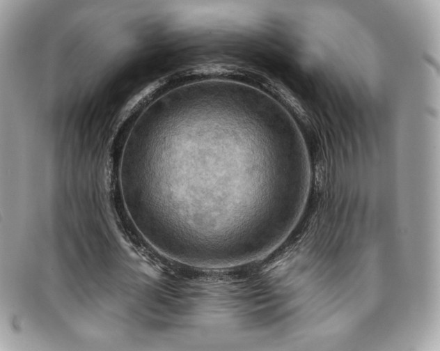 X0000095890724200801111155