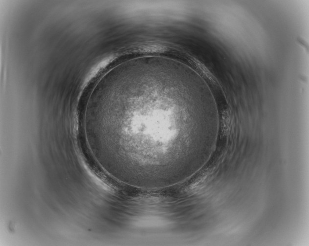 X0000095890726200801111155