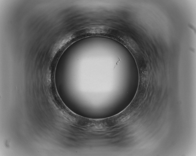 X0000095890727200801111155