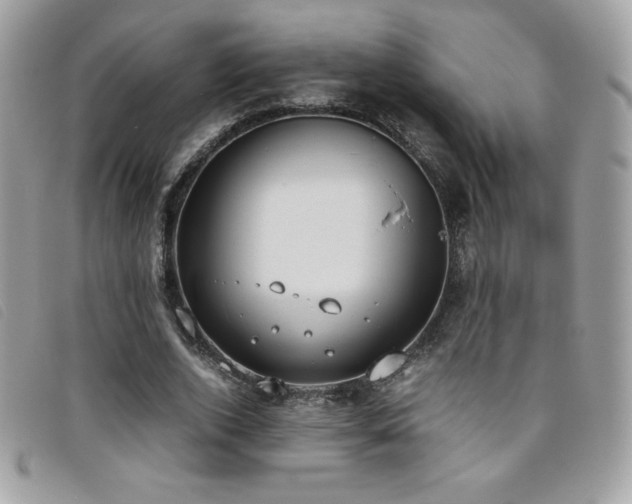 X0000095890728200801111155