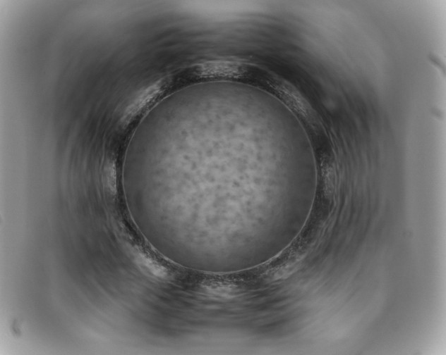 X0000095890729200801111155