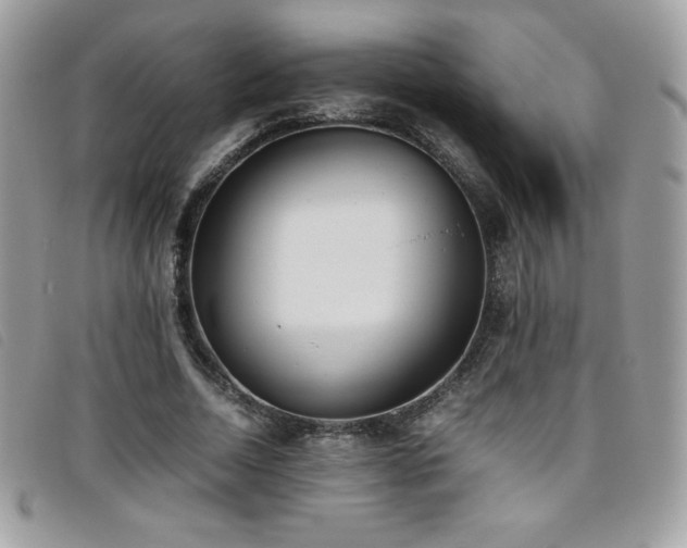 X0000095890730200801111155