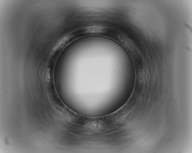 X0000095890731200801111155