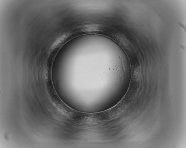 X0000095890732200801111155