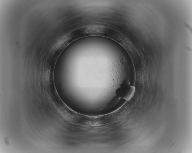 X0000095890735200801111155