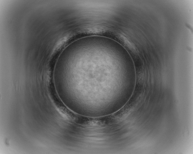 X0000095890736200801111155