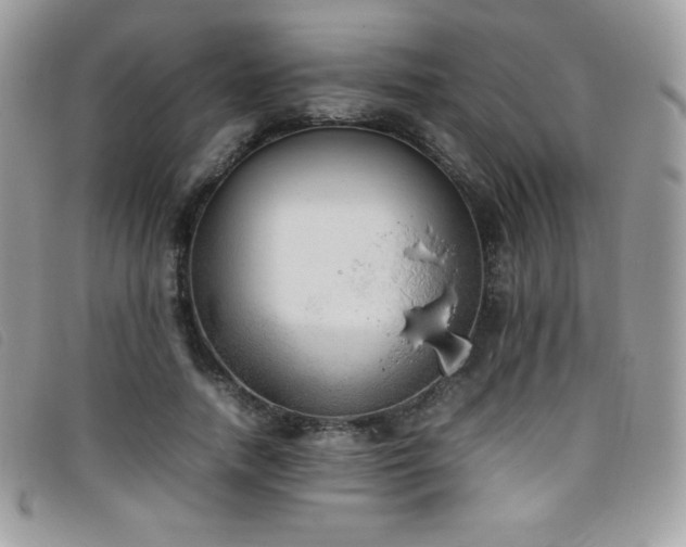 X0000095890738200801111155