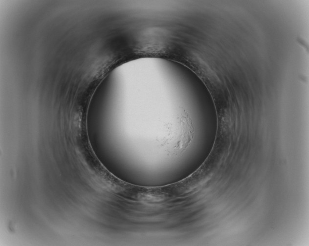 X0000095890739200801111155