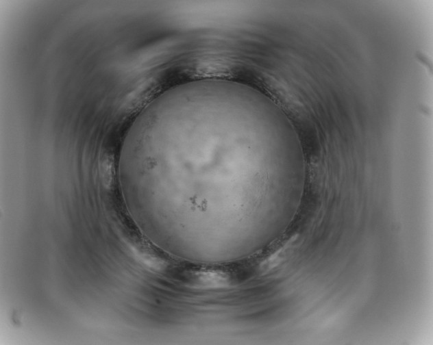 X0000095890741200801111155