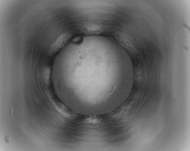 X0000095890742200801111155