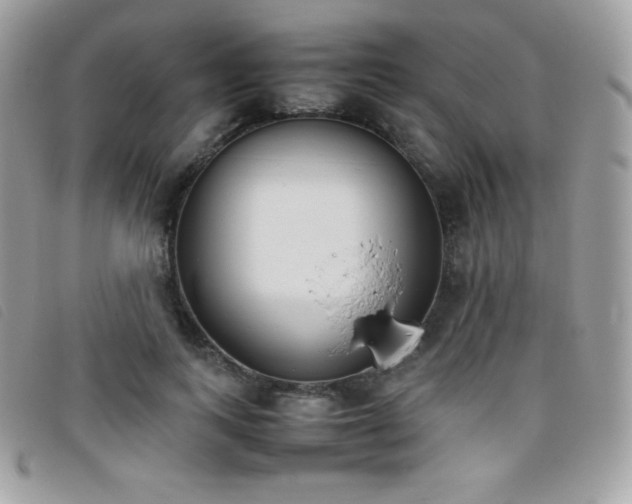 X0000095890743200801111155