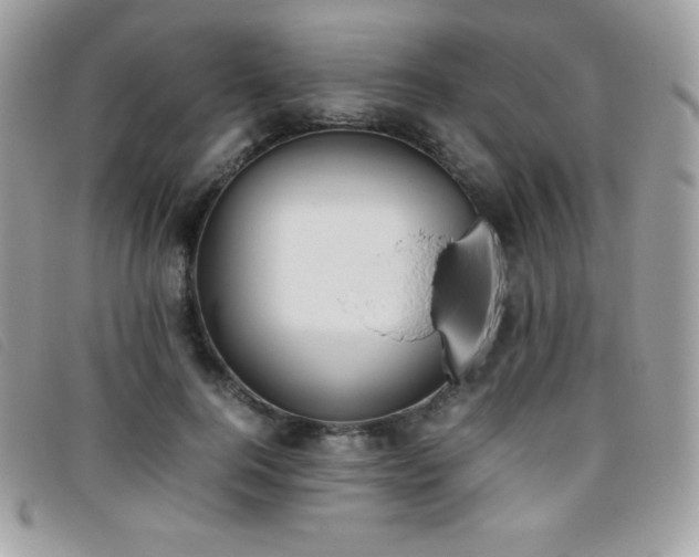 X0000095890744200801111155