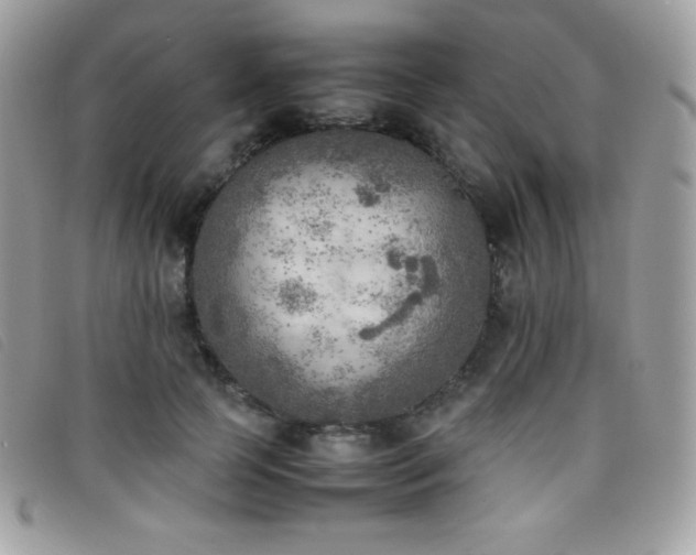 X0000095890745200801111155