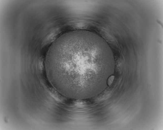 X0000095890746200801111155