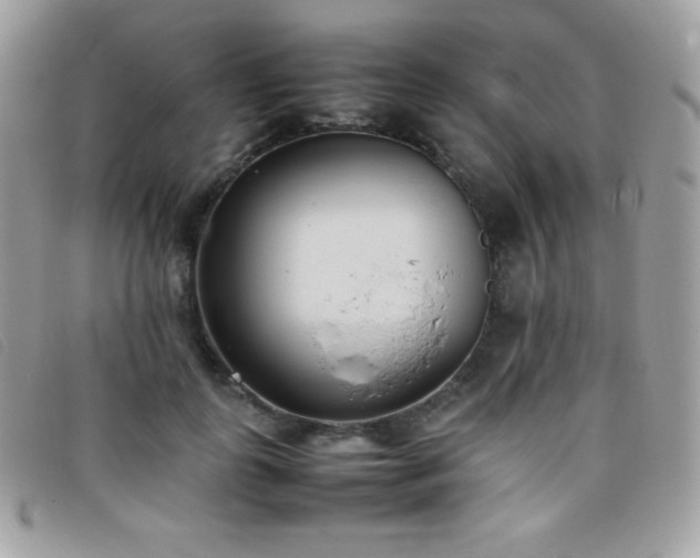 X0000095890747200801111155