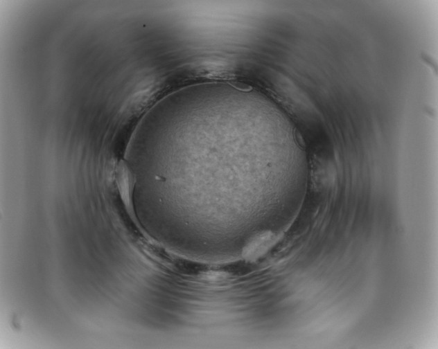 X0000095890748200801111155