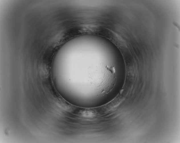 X0000095890751200801111155
