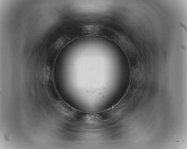 X0000095890752200801111155