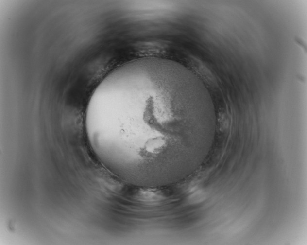 X0000095890753200801111155