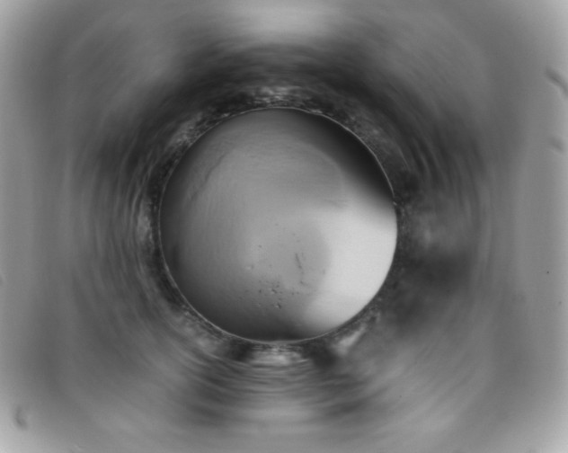 X0000095890754200801111155