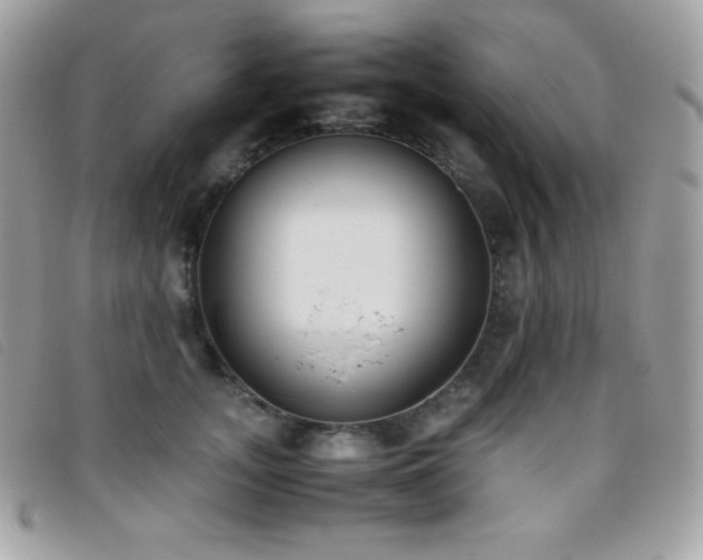 X0000095890755200801111155