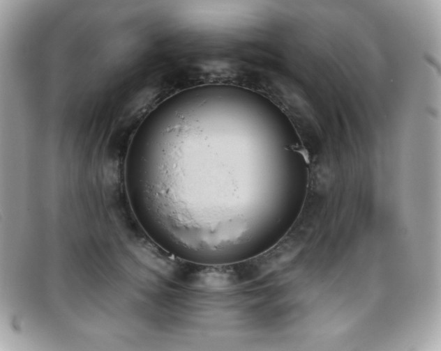 X0000095890756200801111155