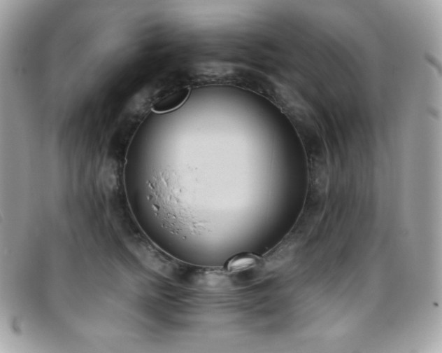 X0000095890758200801111155