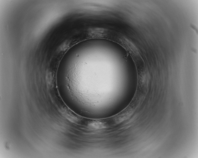 X0000095890759200801111155