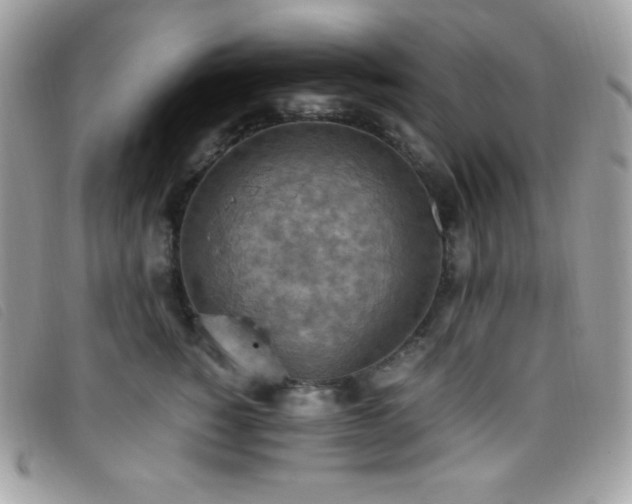 X0000095890760200801111155