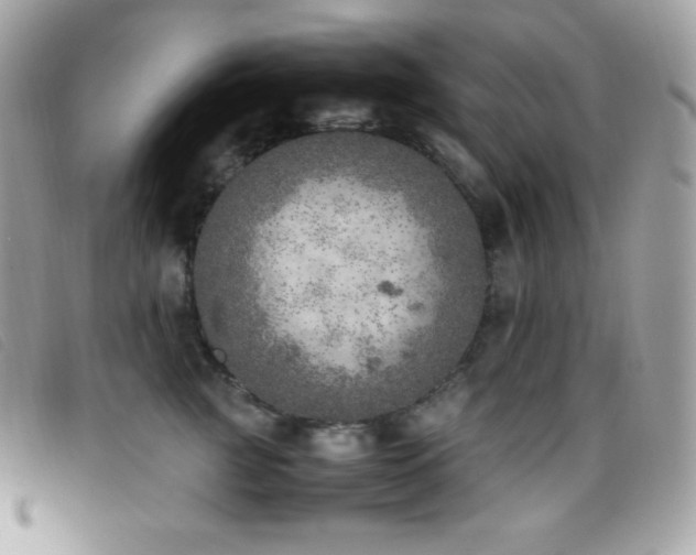 X0000095890761200801111155